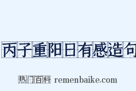 丙子重阳日有感造句是什么意思的图片